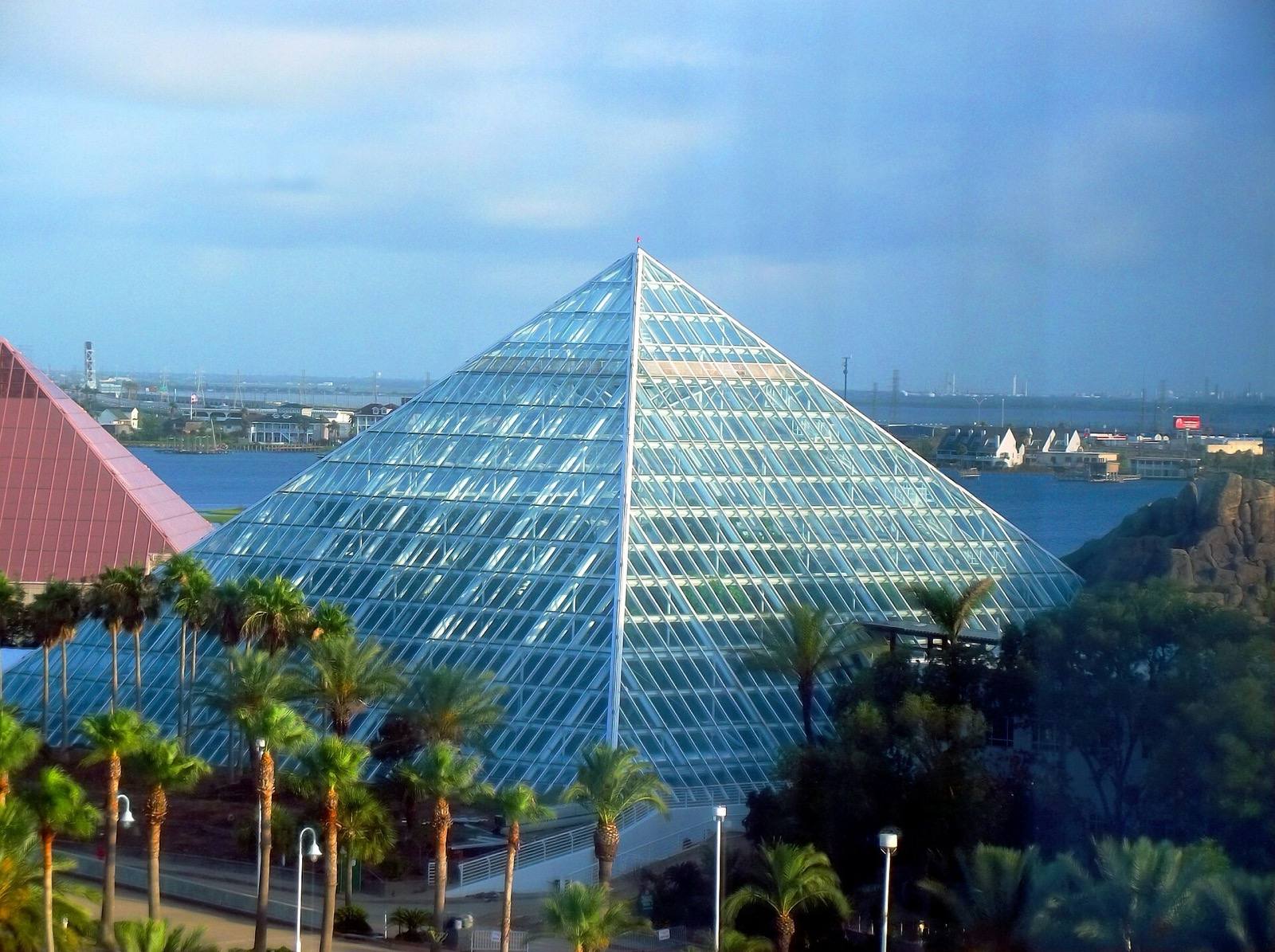 The glass Rainforest Pyramid at Moody Gardens among palms